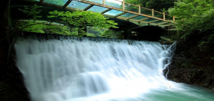 張家界大峽谷一日游